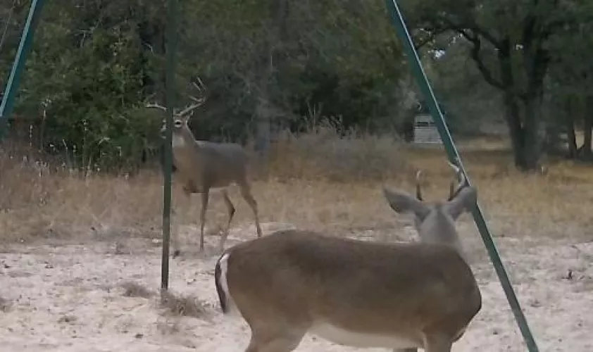 Any fun ladies or couples interested in outdoors?