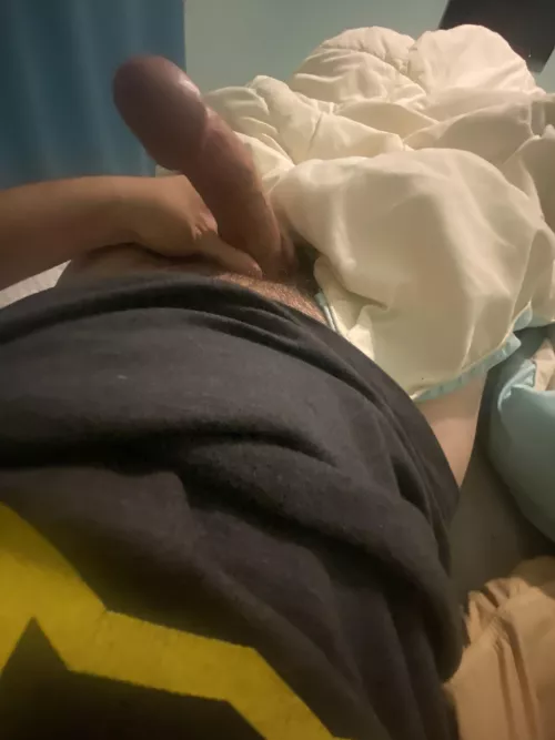 Any size queen want to try a big one