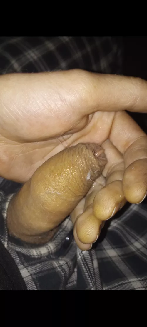 Make fun of my small, limp, uncut dick?