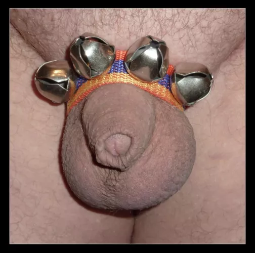 🎼🎶 Morning bells are ringing 🎵