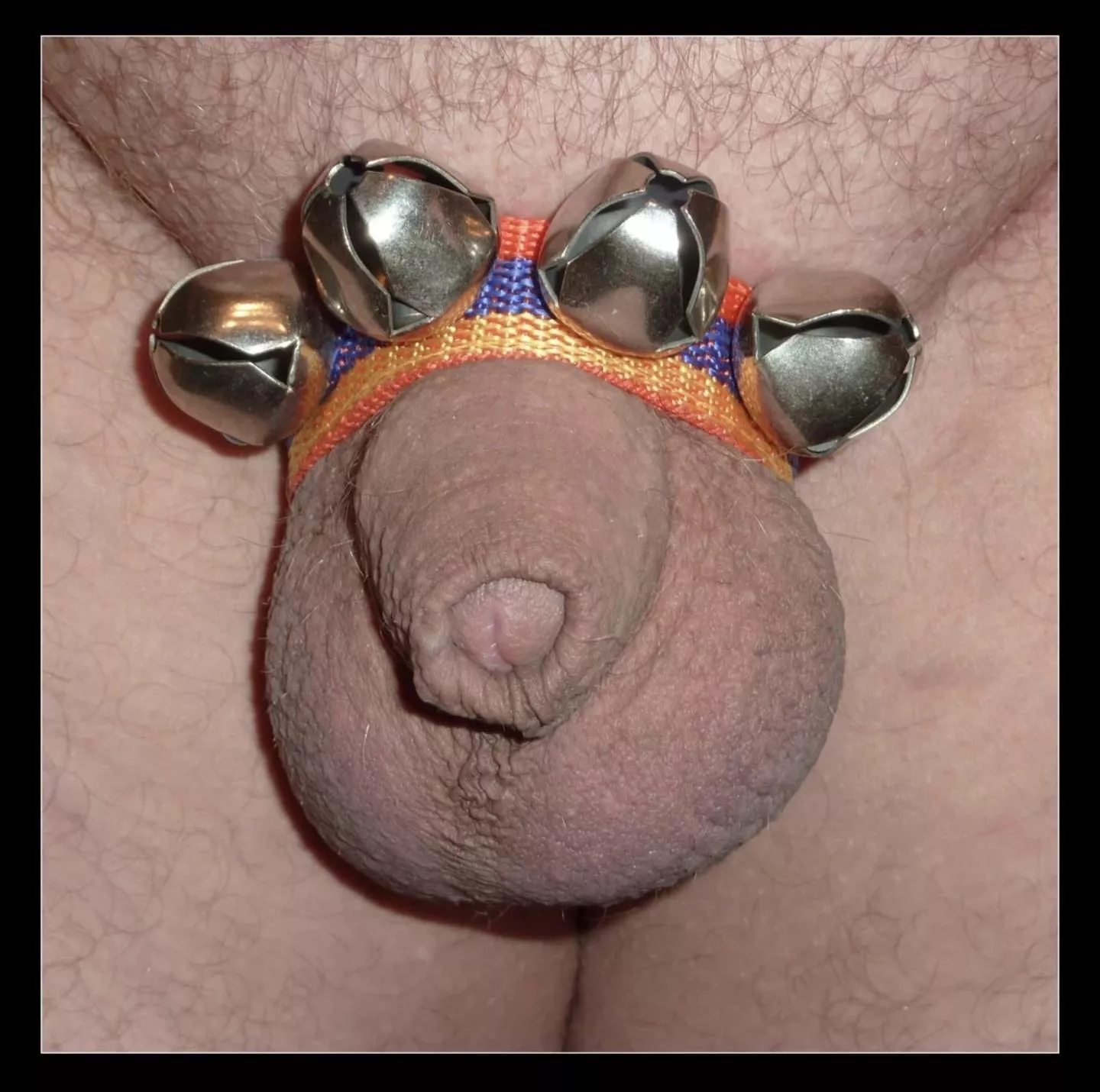 🎼🎶 Morning bells are ringing 🎵