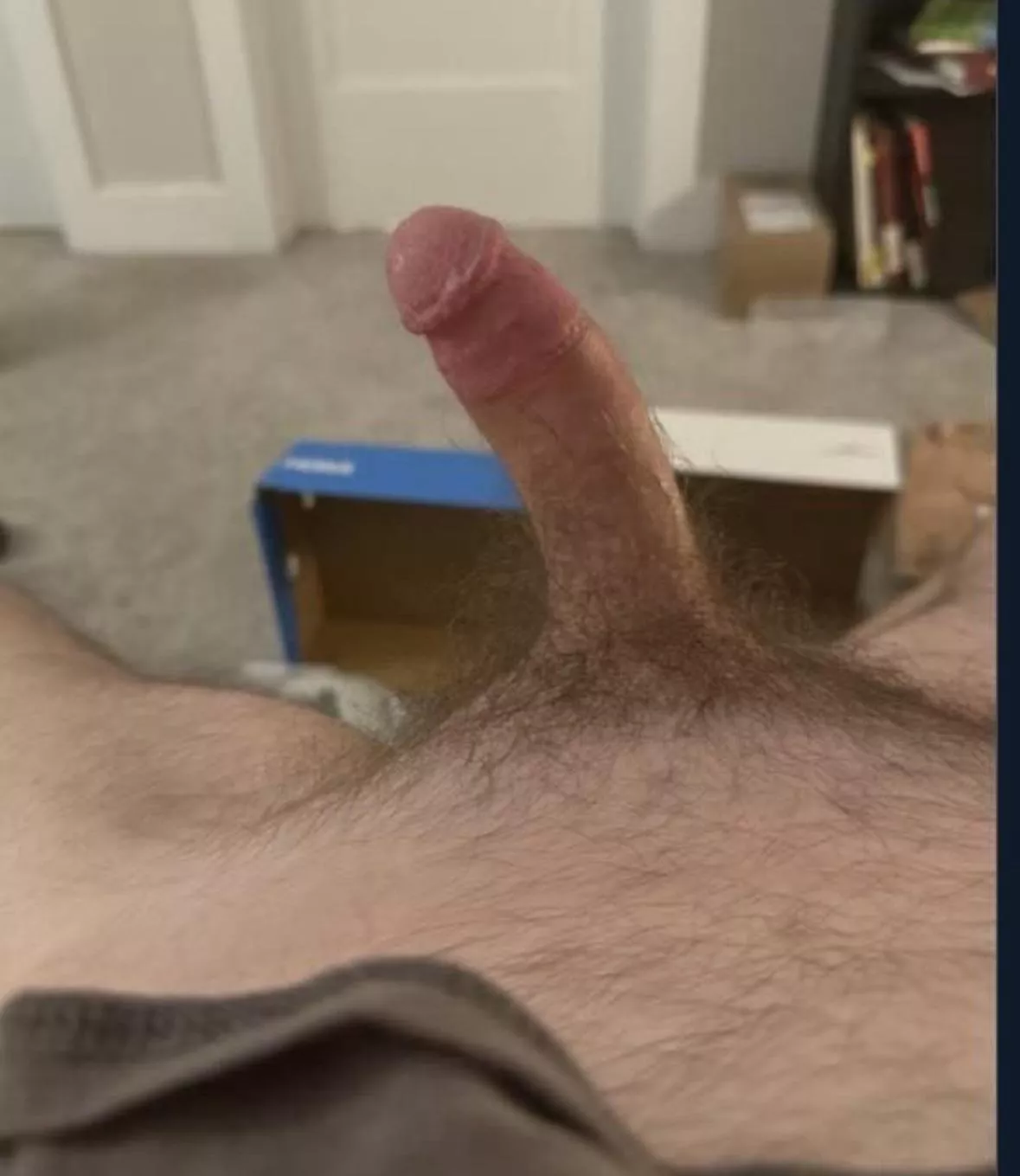 Wilson Co looking for older bud 