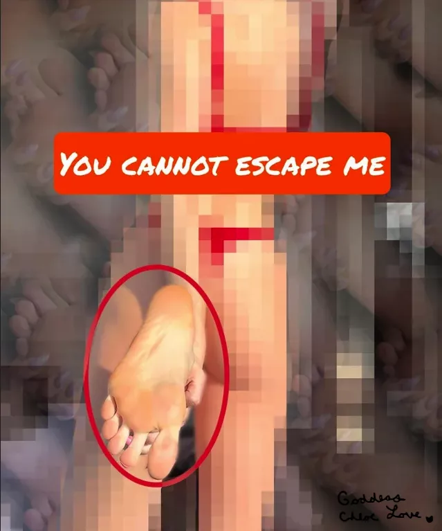 you should know this by now...