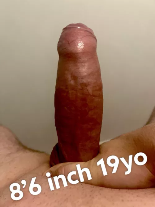 19 BWC