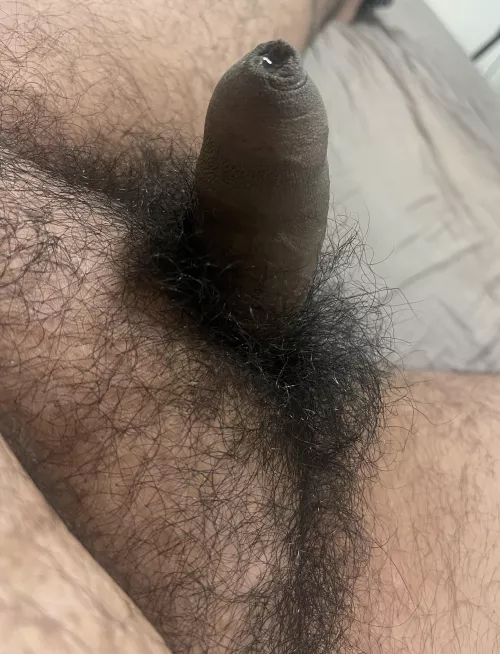 [23] Should I shave 🤔? (DMs are open)