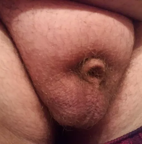 (24) My micro penis 