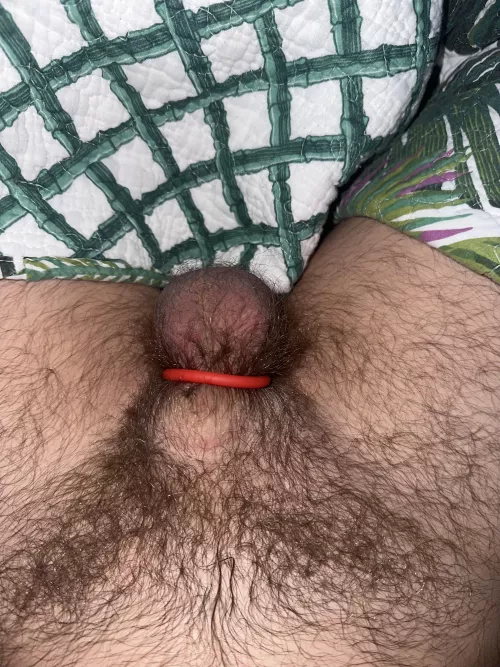 26 M4M - tucked and horny