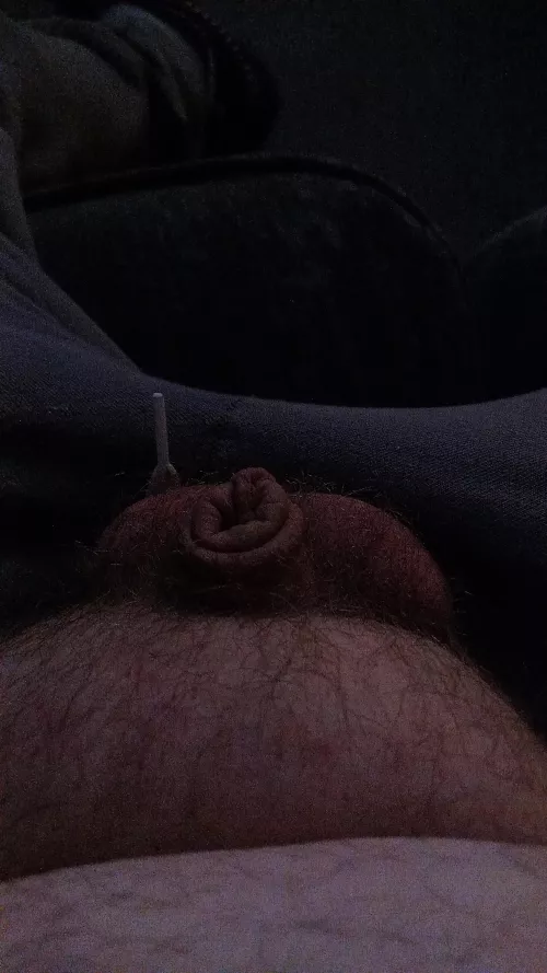 (35) my little micro 🤦‍♂️, DMs open. 