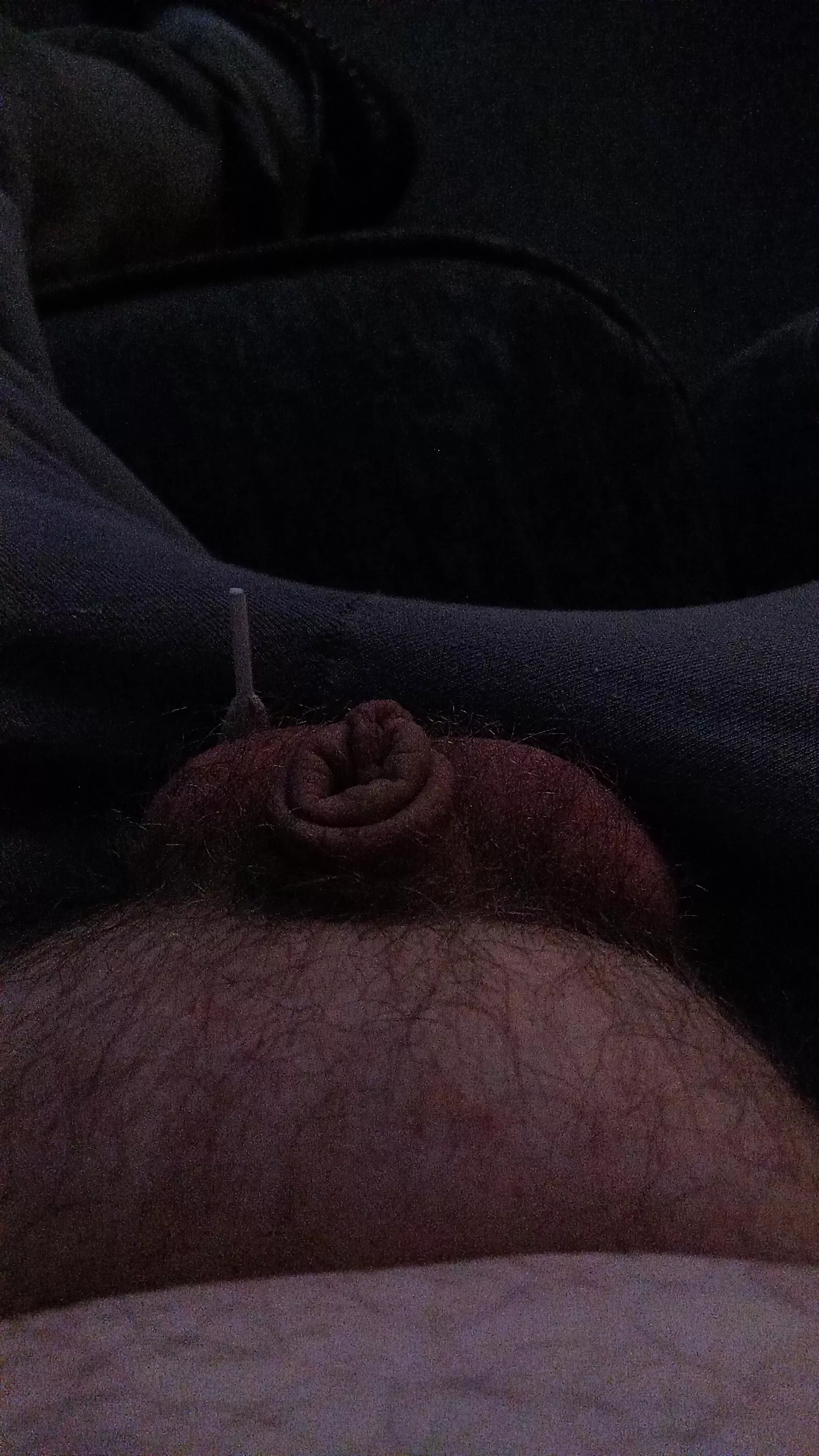 (35) my little micro 🤦‍♂️, DMs open. 