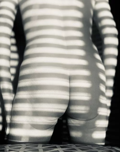 A zebra made of light