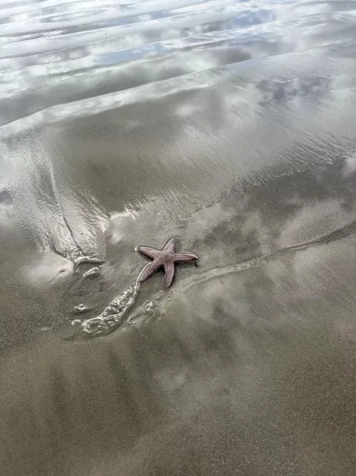 All creatures great and small