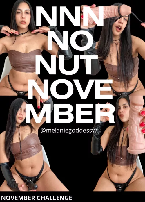 Are you ready bitch ?