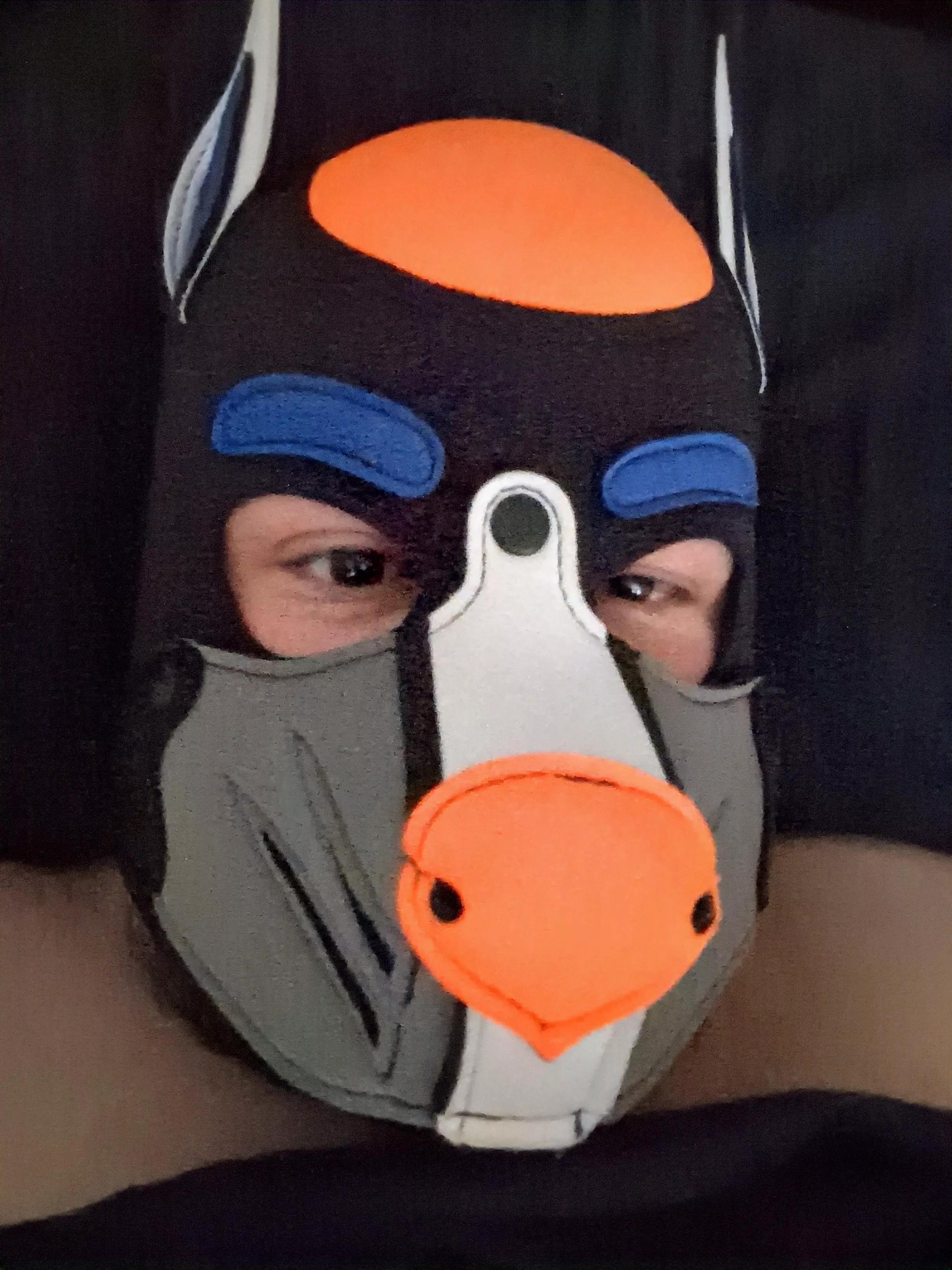 Awrawrarwr good morning and happy Saturday from this sleepy boi, what puppy plans do you have? 