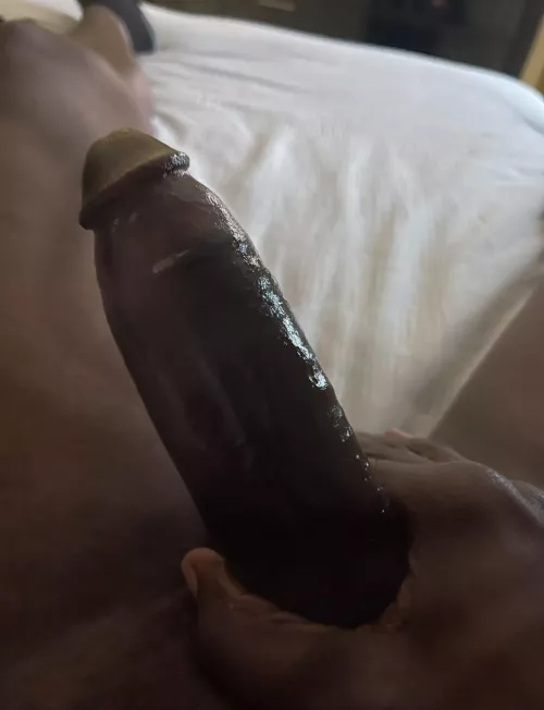 BBC Looking for head and more Monday morning 