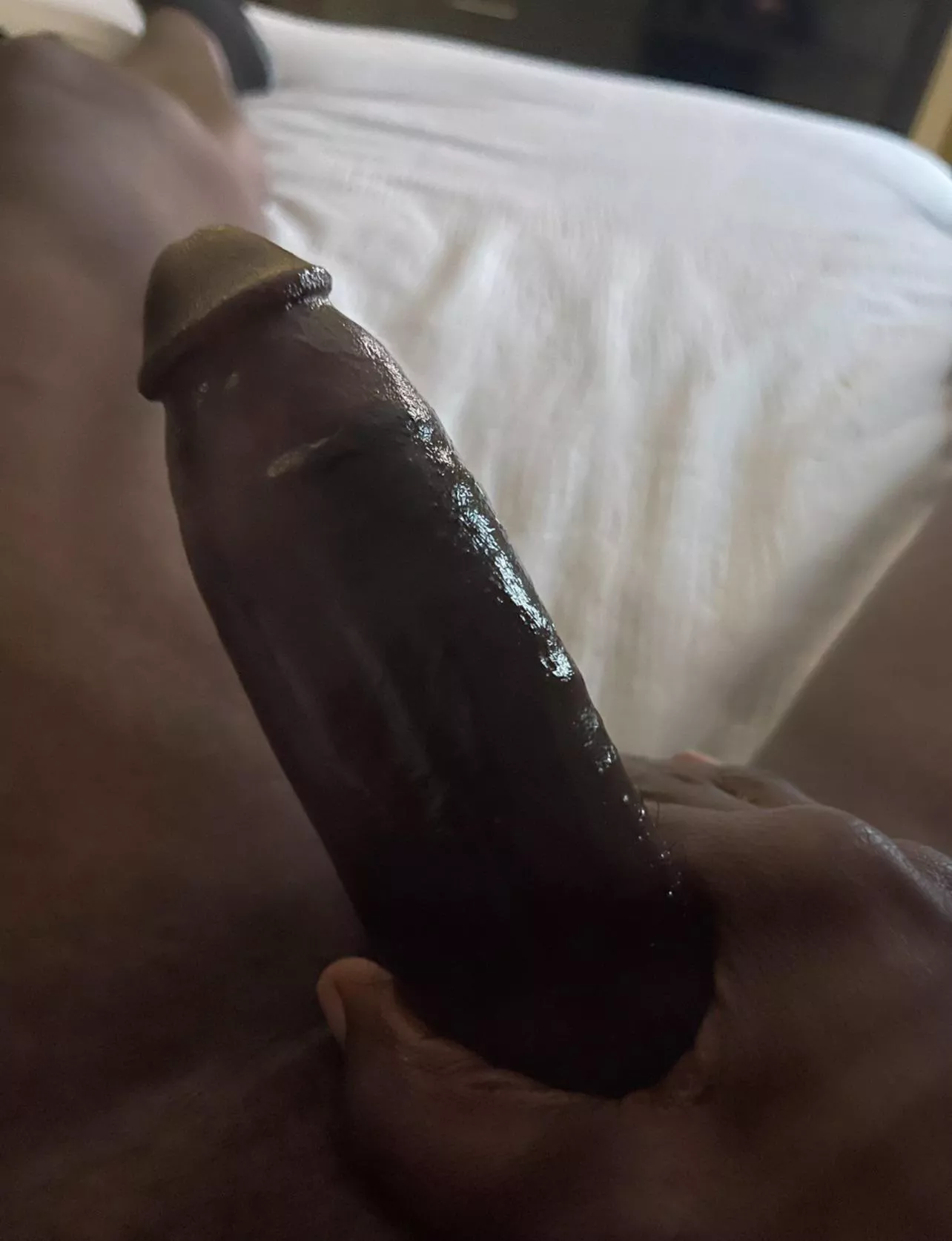 BBC Looking for head and more Monday morning 