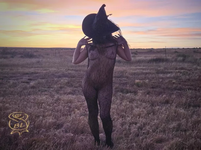 Bewitched in the Land of Enchantment