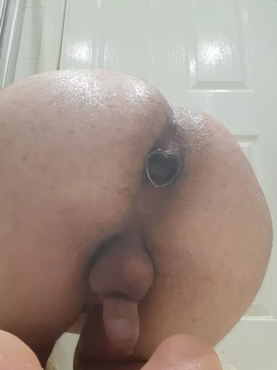 Bought my first plug