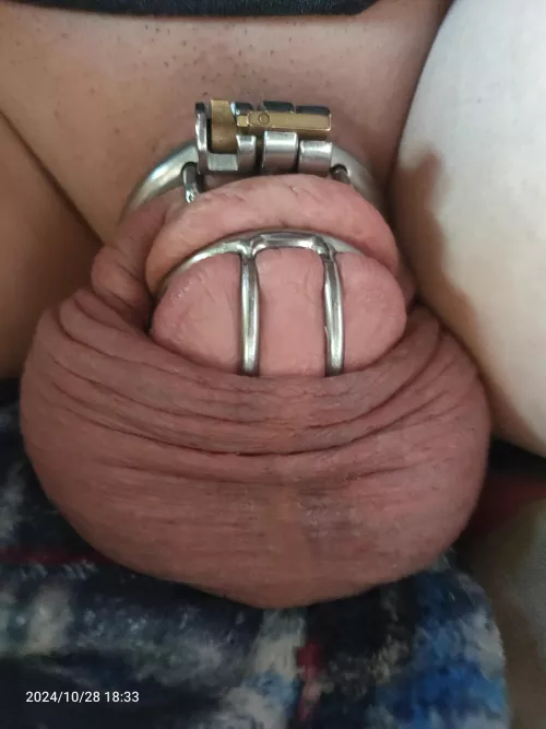 Day 707 this cage has a vice like grip