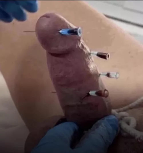 Extreme CBT slave for torture, abuse, and live cam sessions with sadistic men