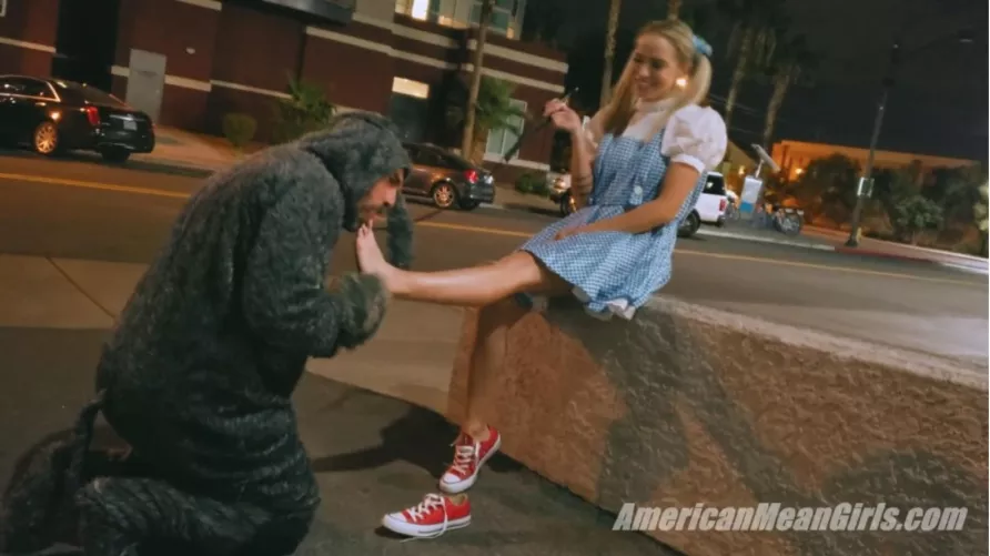 For Goddess Cranwell’s Halloween party I am dressing as Dorothy, and I am bringing my Royal Foot Slave as Toto.  I invite all Goddesses to remind Toto what a BAD doggie he is!