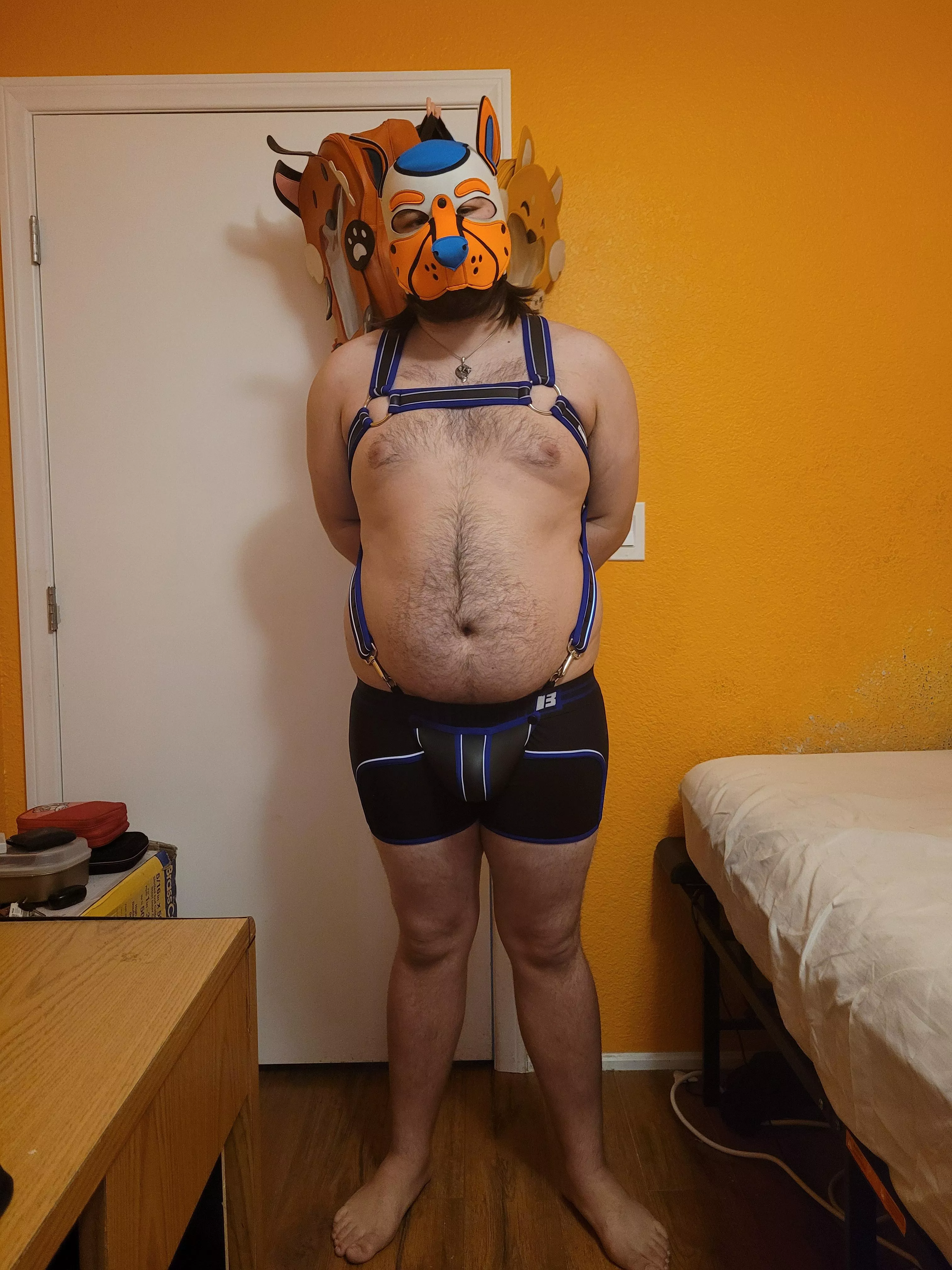 Got my first harness