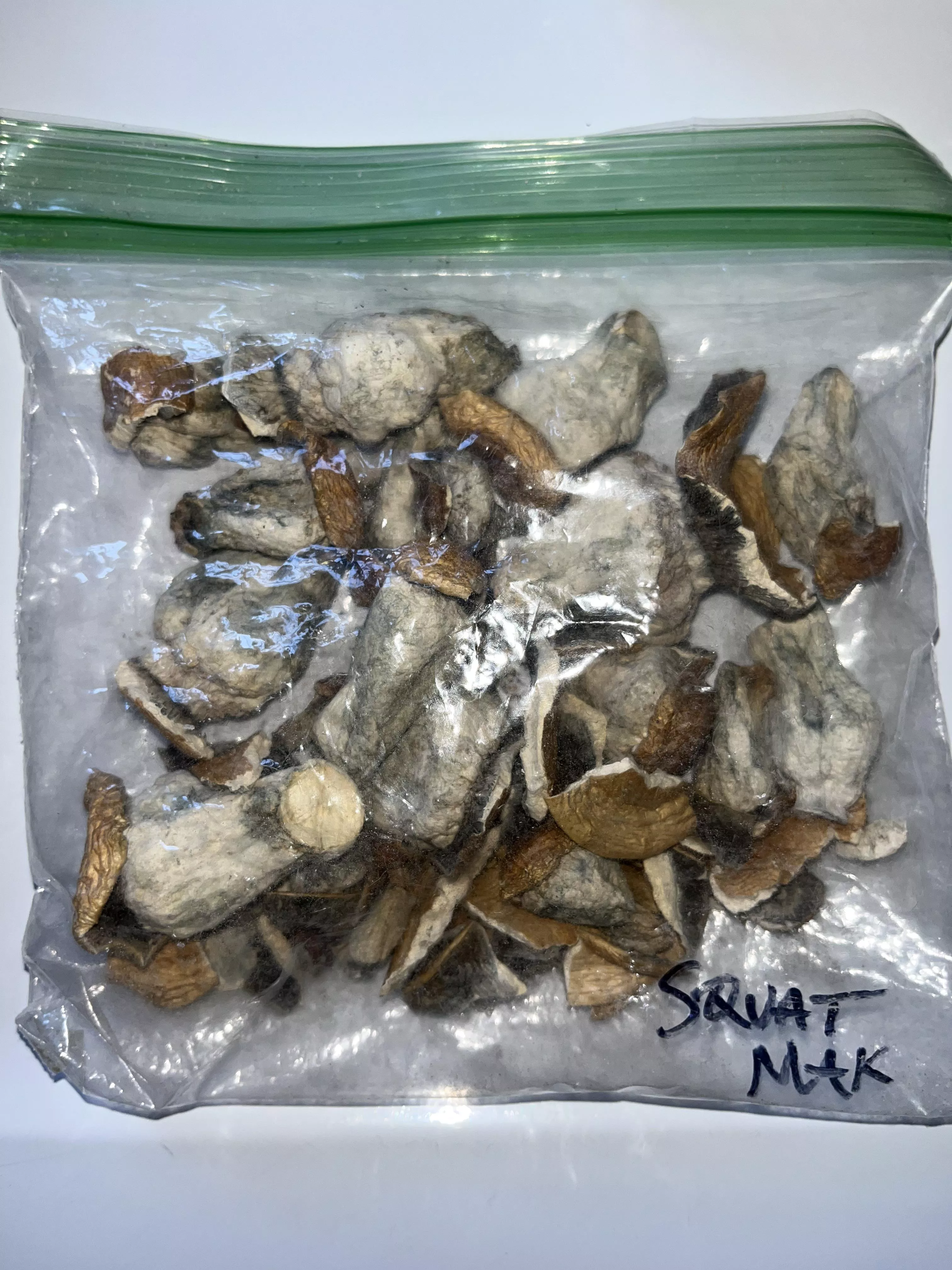 Have a Trippy Halloween 🎃 