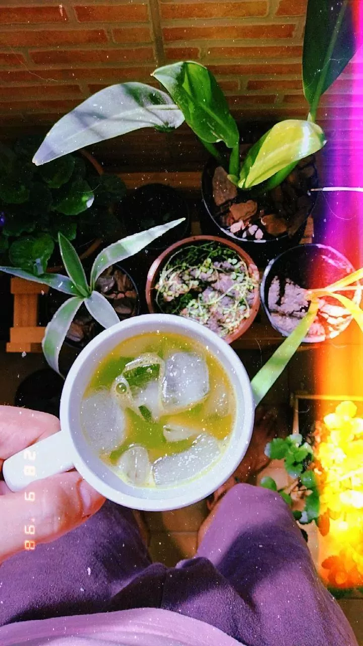 How do you like your tea? Would you mind joining me for a cup really quick? Check the first comment, sweetie :) 