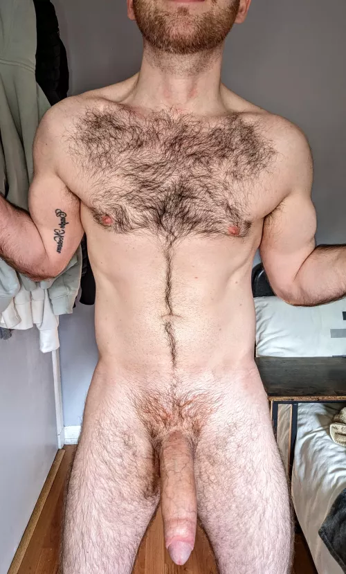 Hung & Hairy 