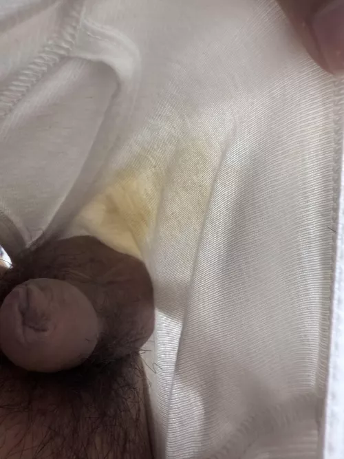 I want to trade dirty briefs