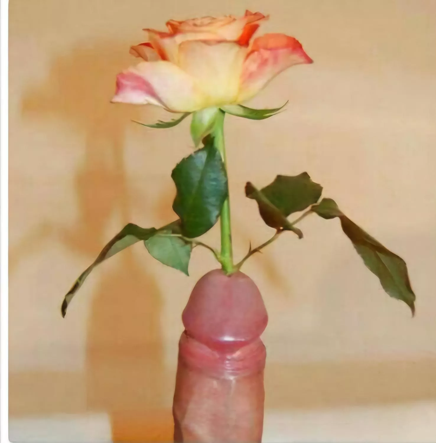 If you don't have any ideas for valentines day here's one 