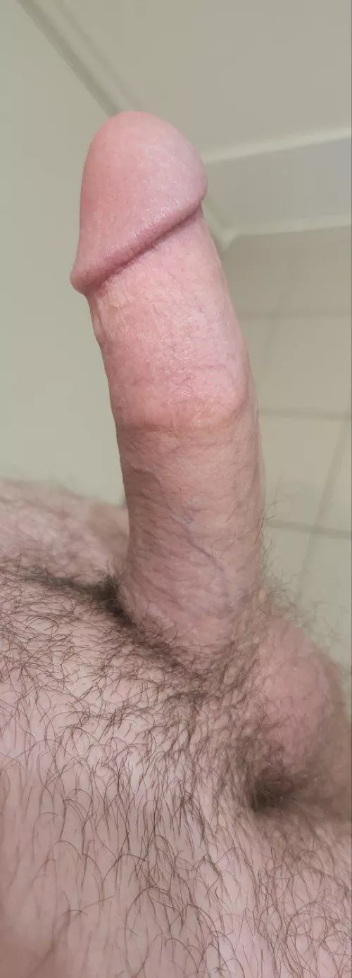 It's my birthday soon any females looking to host out in ipswich 23M