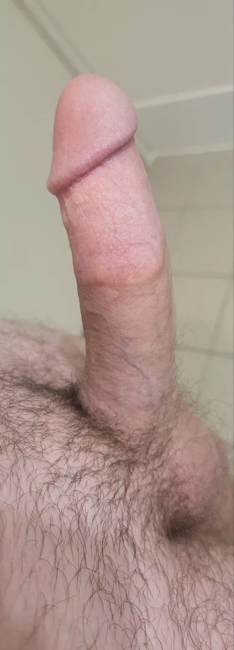 It's my birthday soon any females looking to host out in ipswich 23M