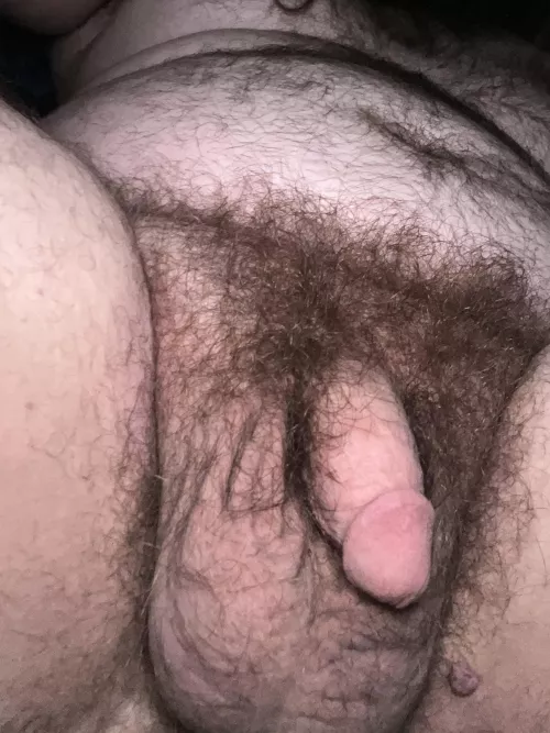 It’s my birthday! Spoil me (by letting me breed you)