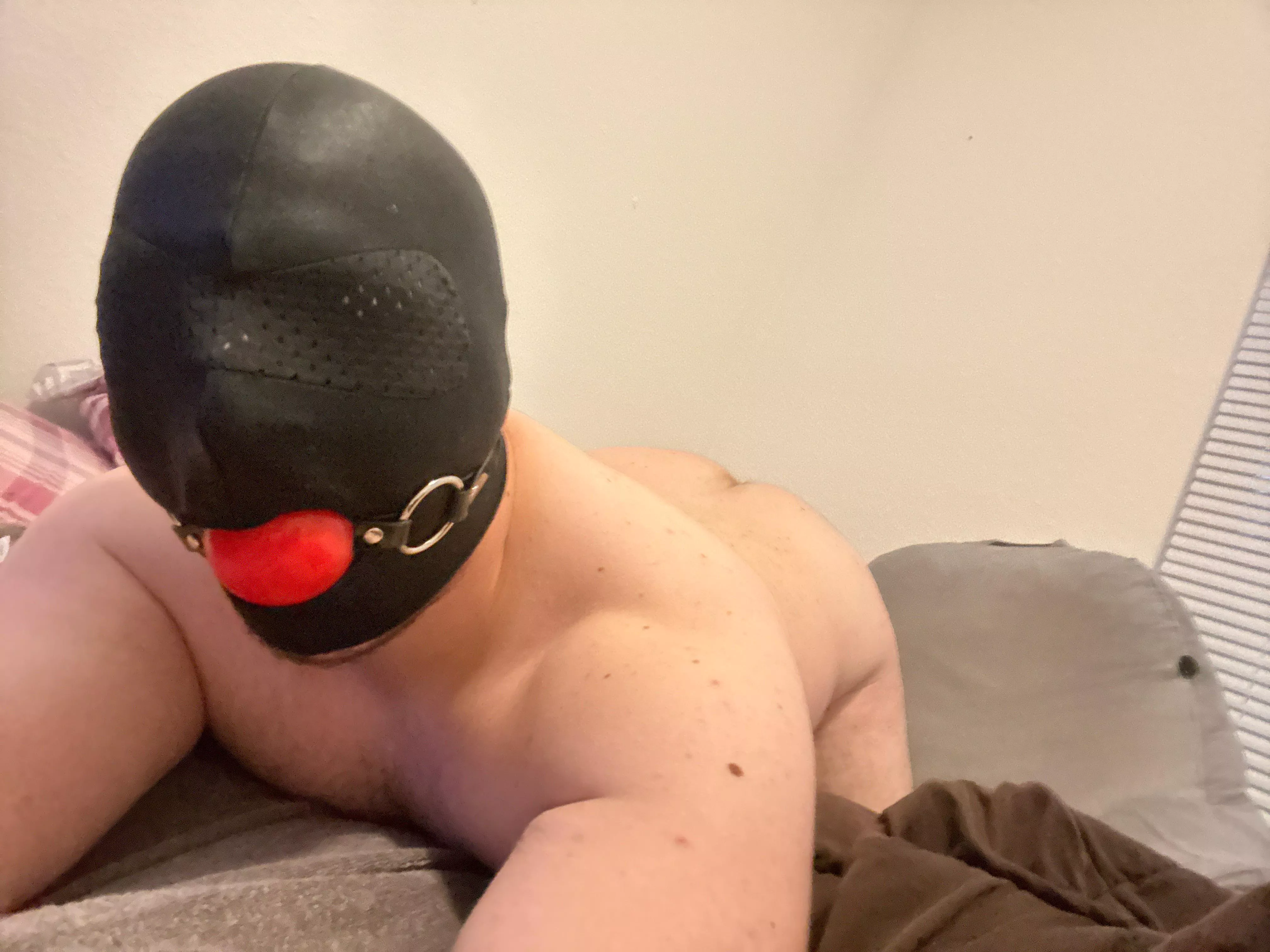 Just a good, trained Gimp😜