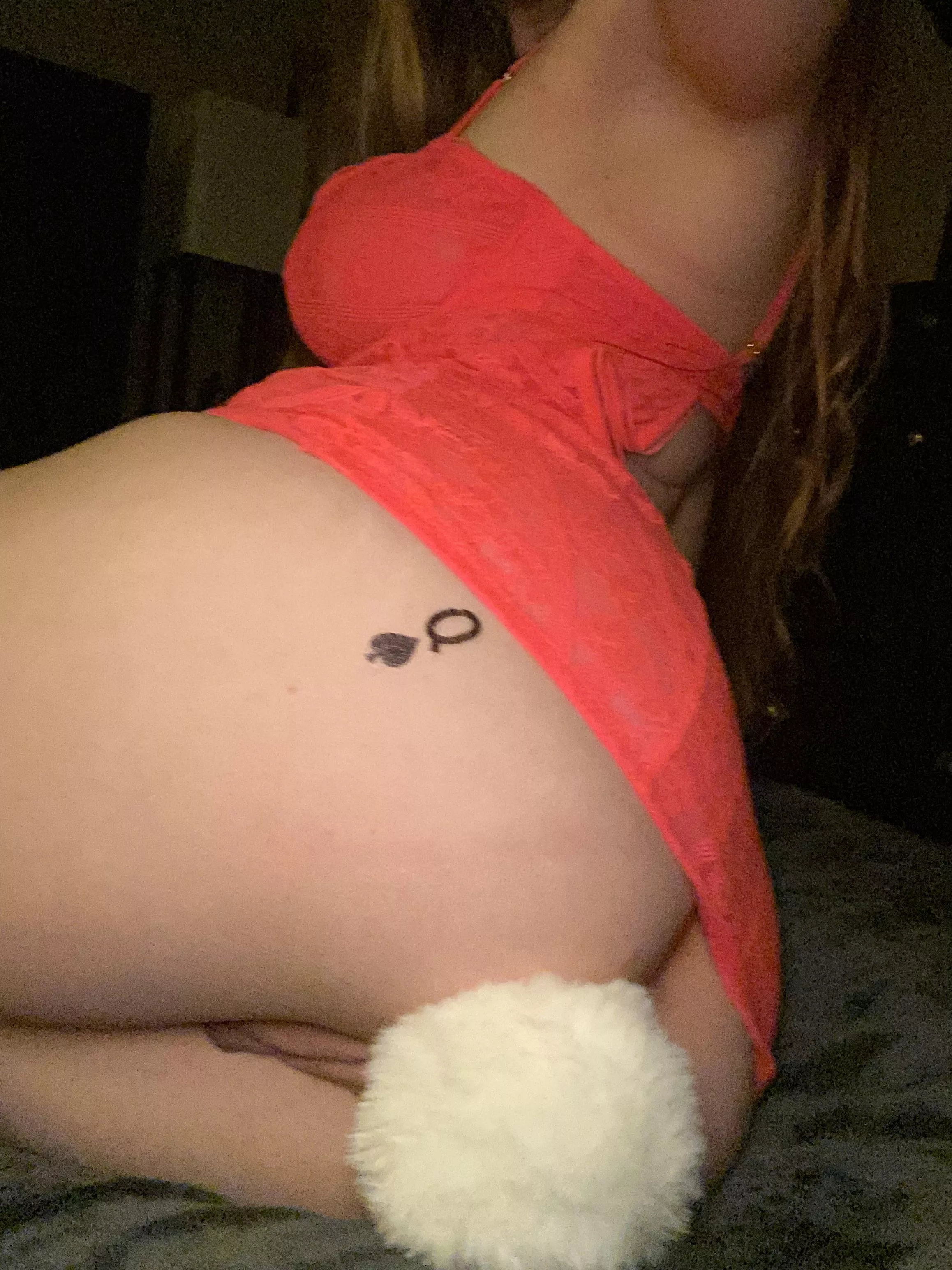 Looking for bbc for tonight 