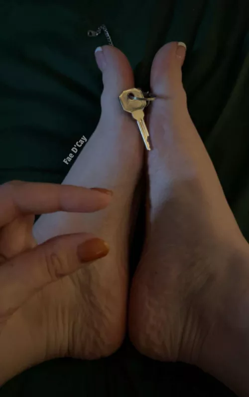 Losers belong in chastity and their keys at my feet 