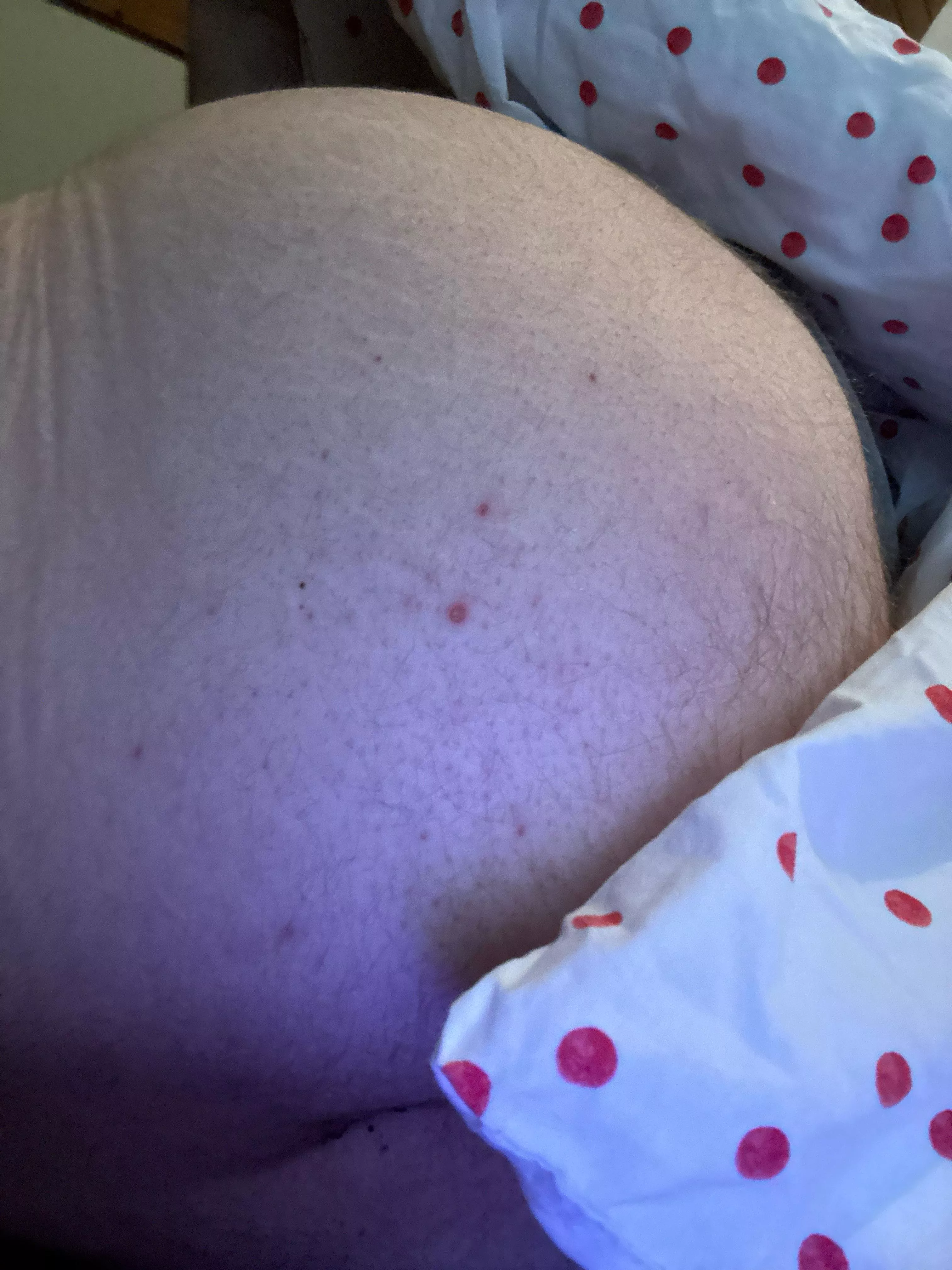 m18 brucht en grosse schwanz