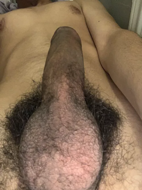 M19 Looking for gooners near UH