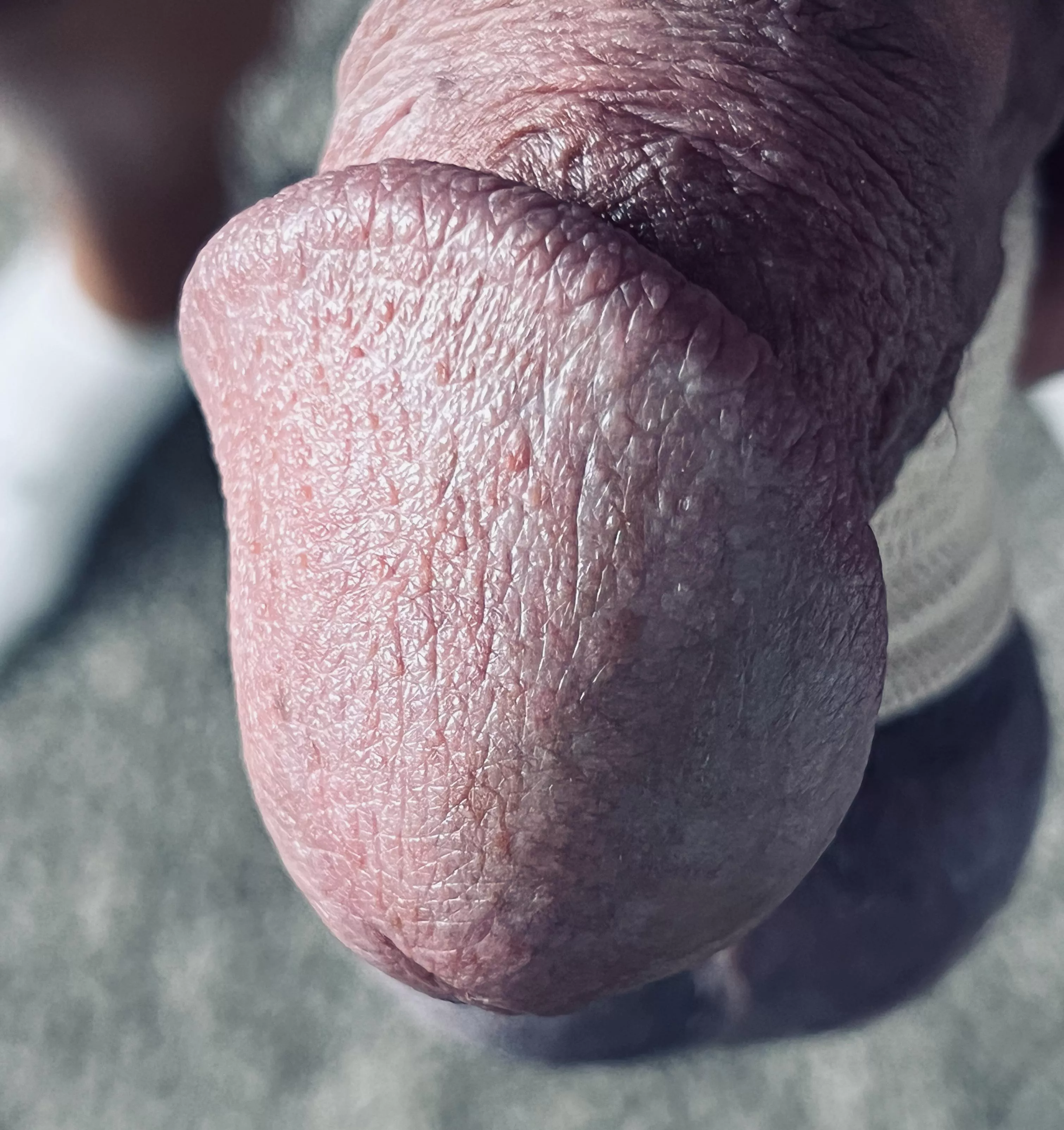 m4m or tm- southwest orlando, st. cloud, kissimmee area… looking for first anal (bottom)  experience with a nice size cock.  i know im showing my mushroom head… can post my ball and my butt if y’all want to see. 