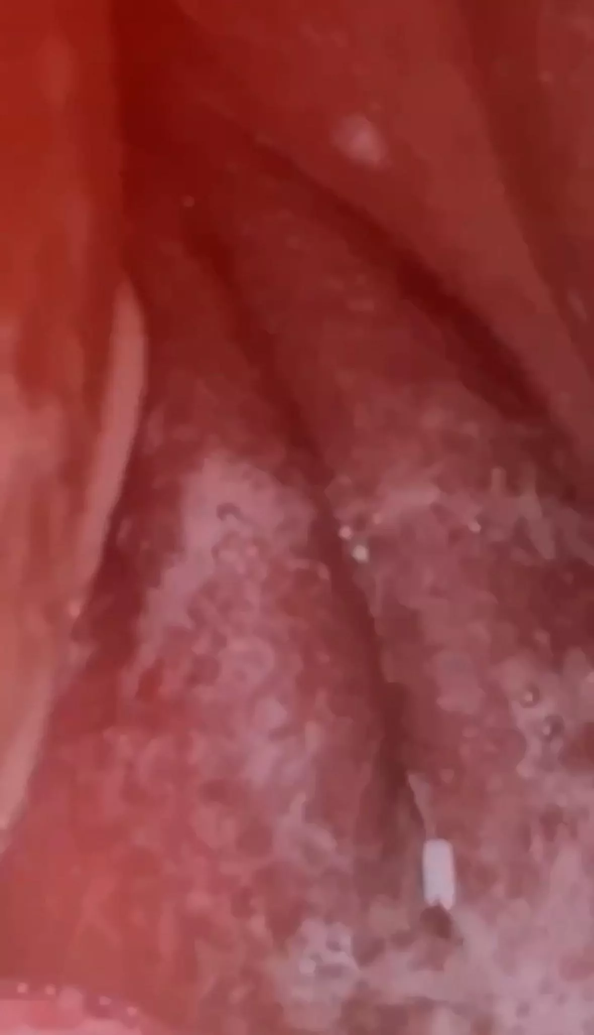 My soapy kitty😻 wants to be fed