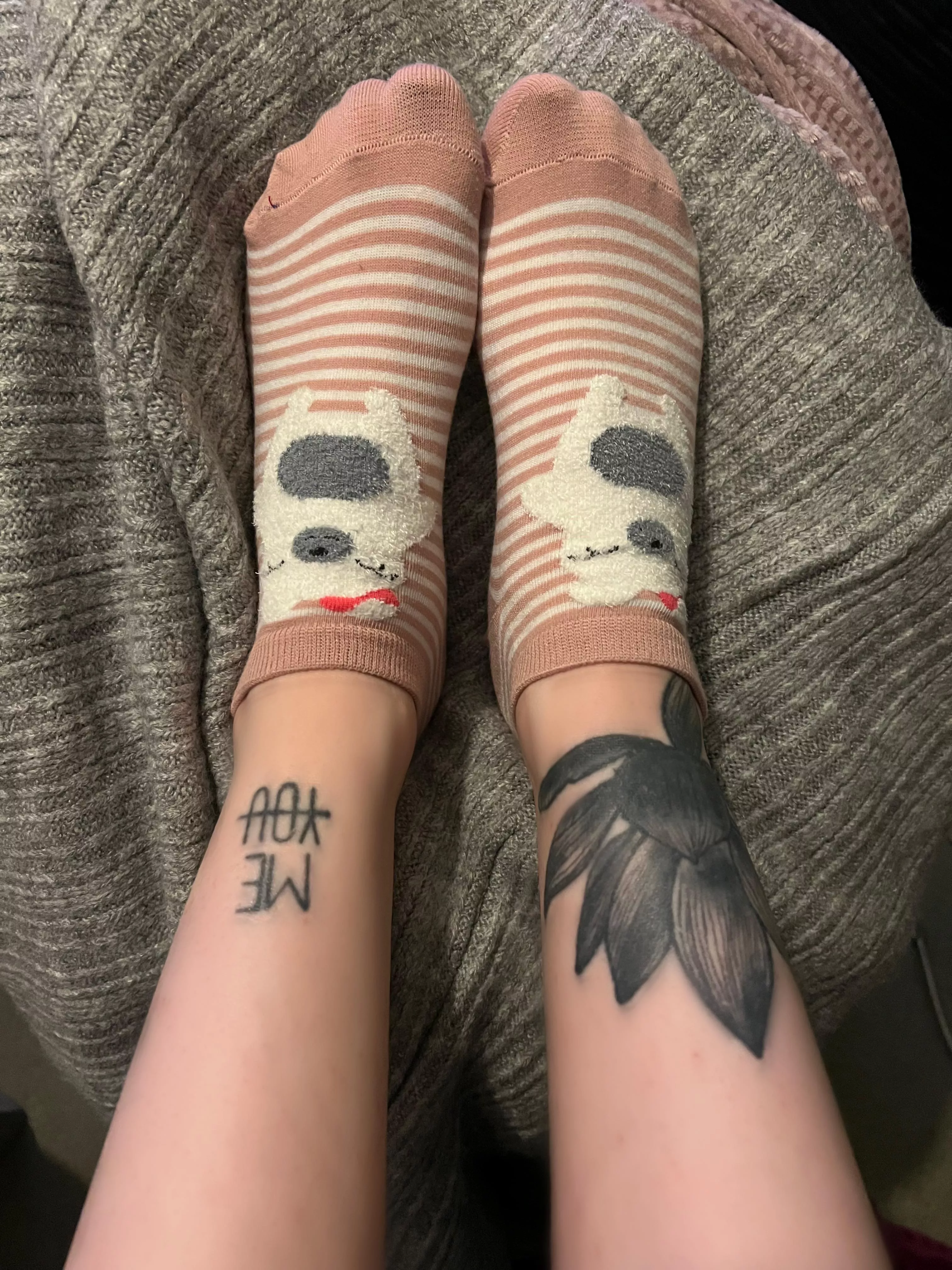 On a scale of 1 - 10 how cute are these? 