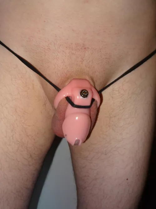 Permanently locked and horny