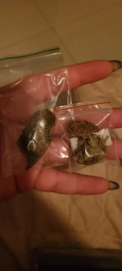 Silver Haze e Purple Haze