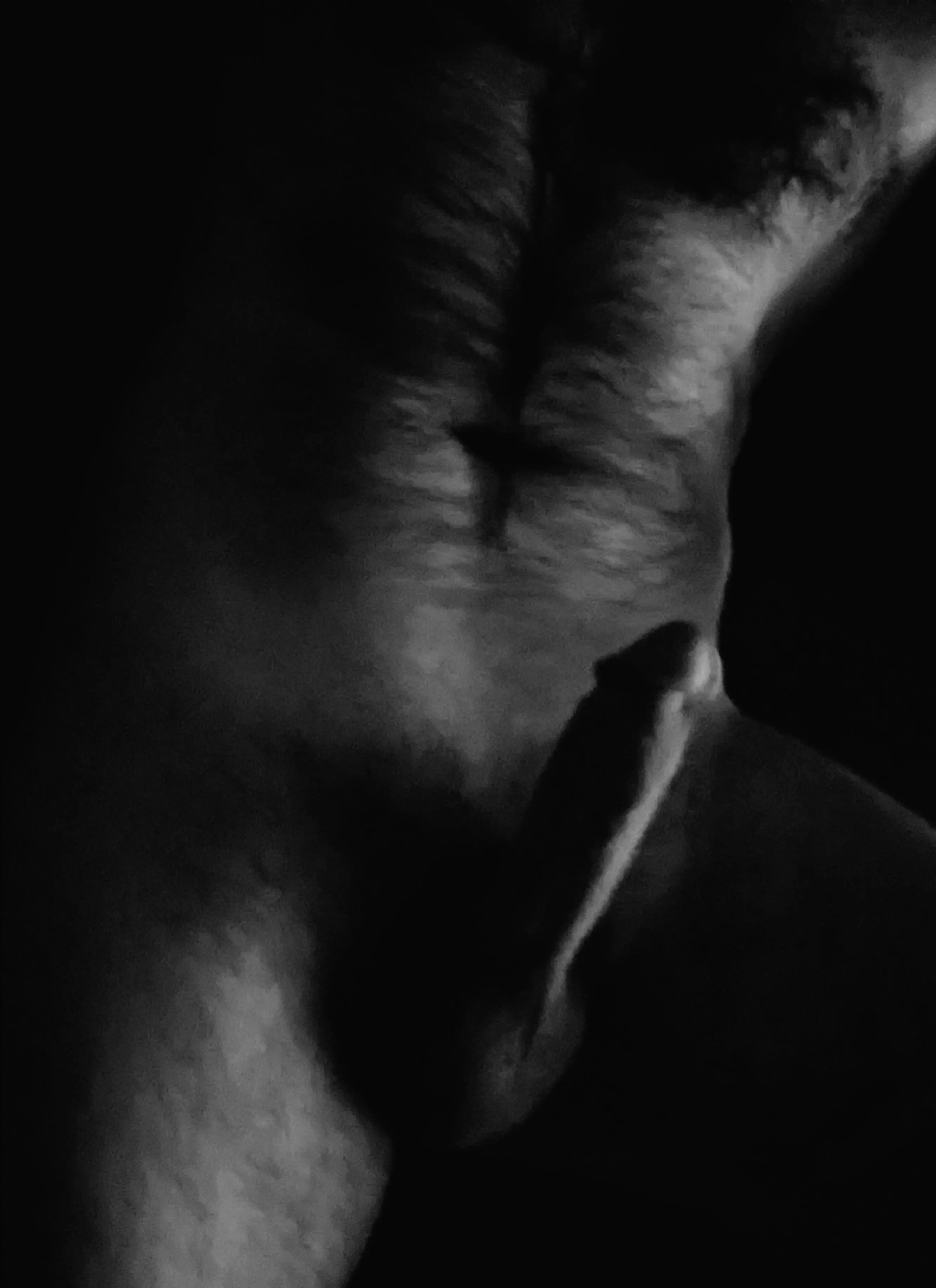 Sins and Shadows on All Hallows Eve