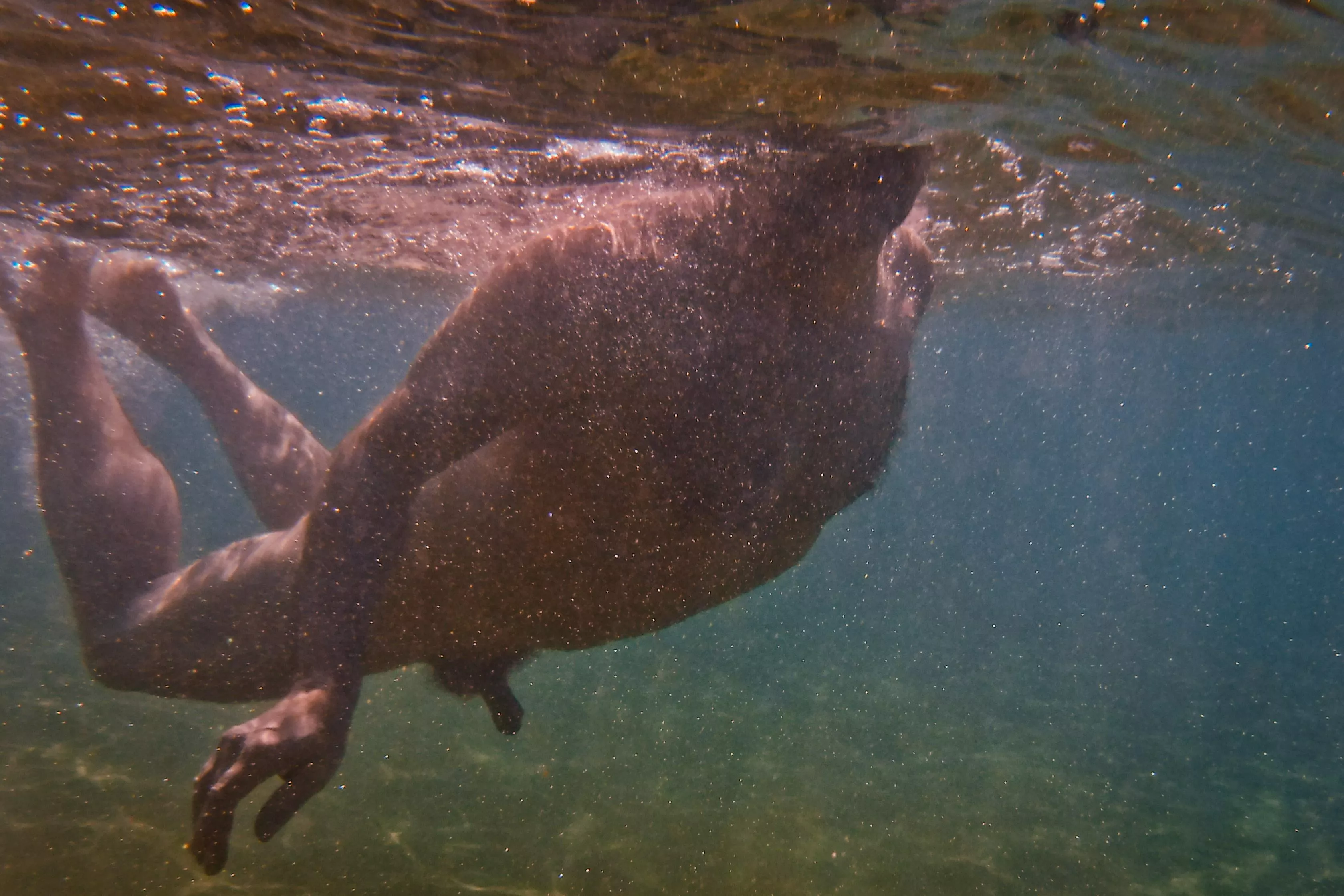 skinnydipping in warm waters