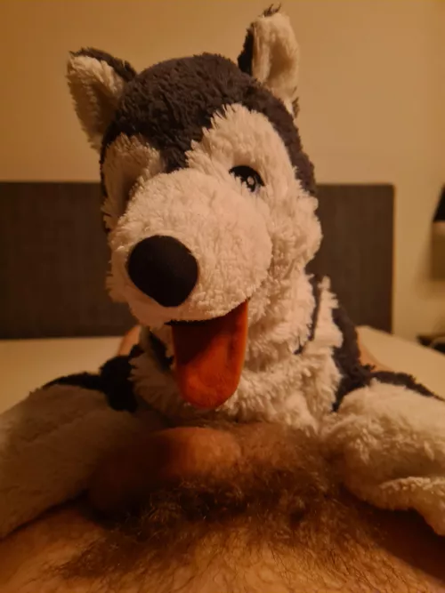 [Snuggle saturday] puppy found a bone