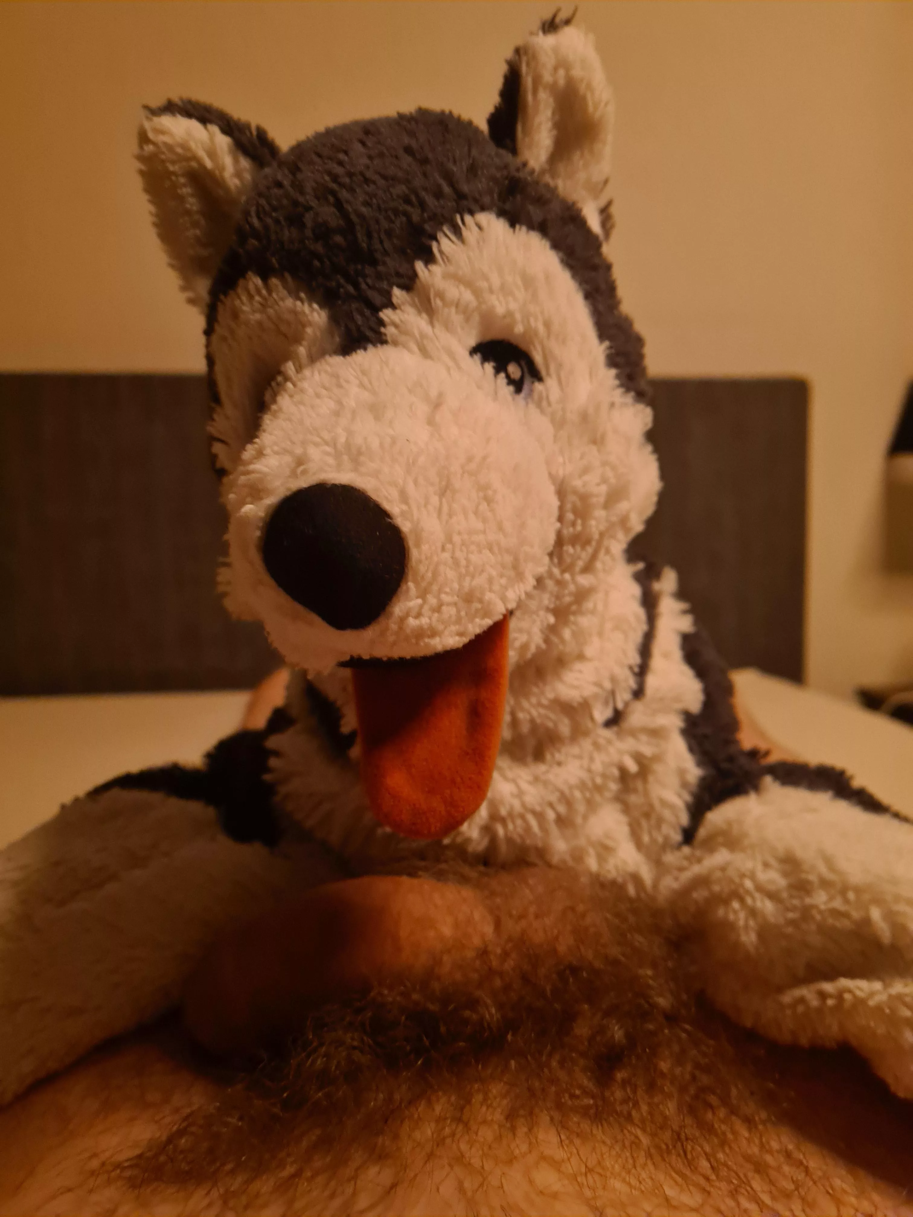 [Snuggle saturday] puppy found a bone