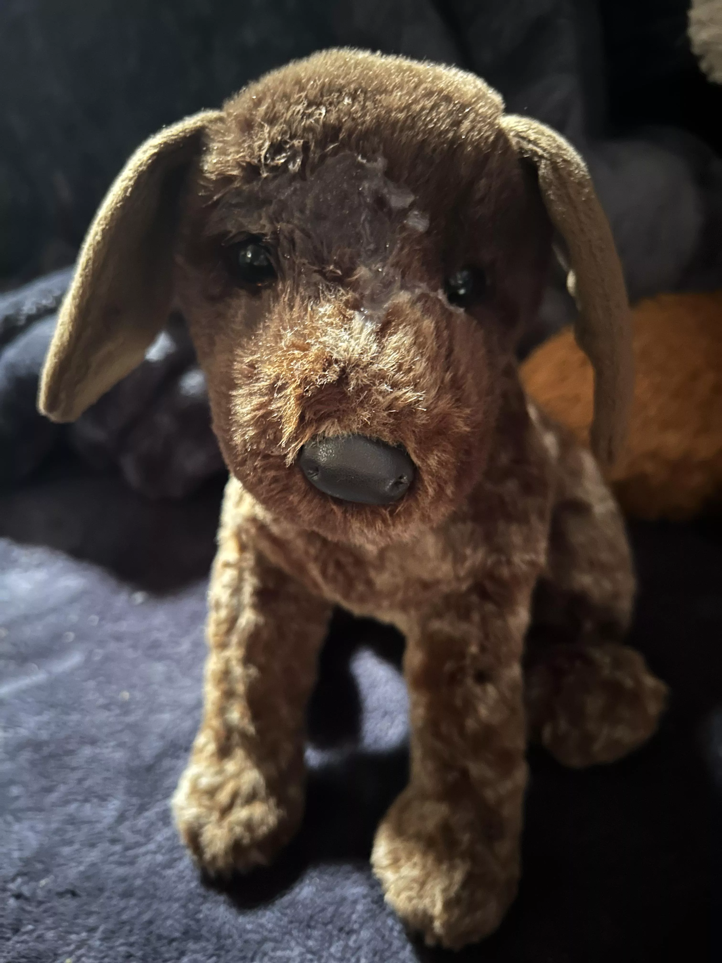 [Snuggle Saturday] River got a treat! 