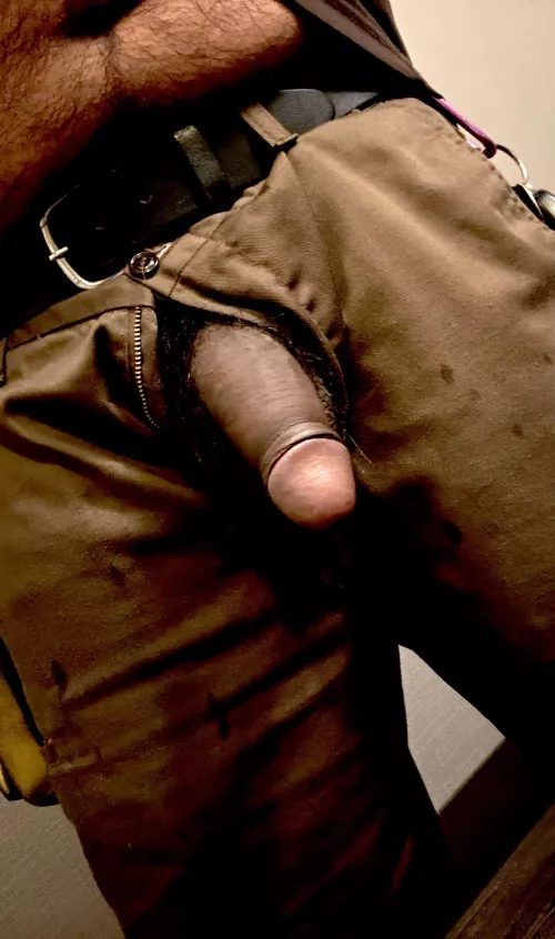 Softie from the front 