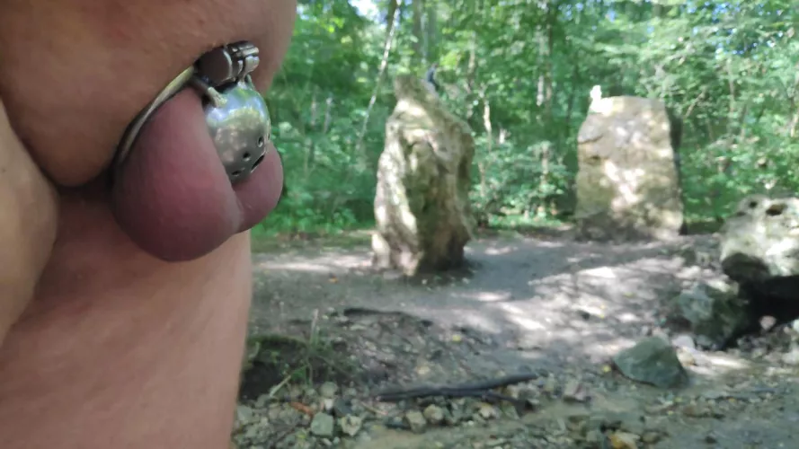 sometimes the little knight also wants to see the world